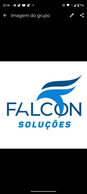 Falcon Soluções