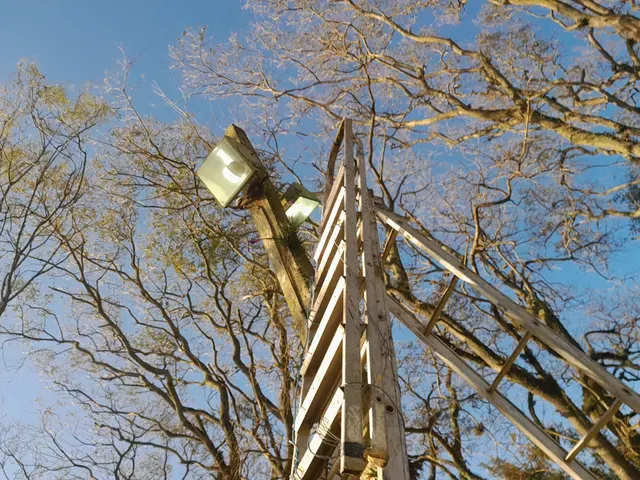 Precisão elétrica