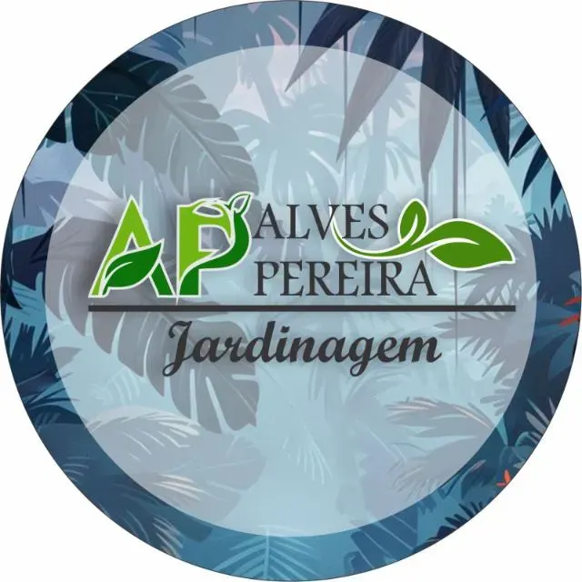 Mizael Lourenco Pereira Alves
