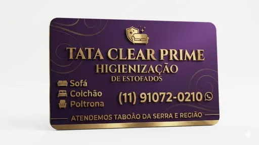 THAIS APARECIDA DA SILVA