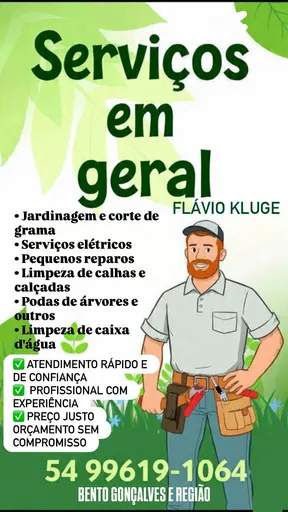 Logo de FLAVIO KLUGE