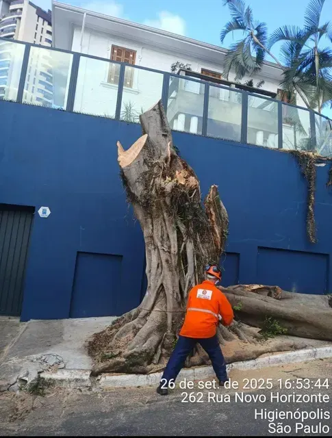 Foto de EcoPoda