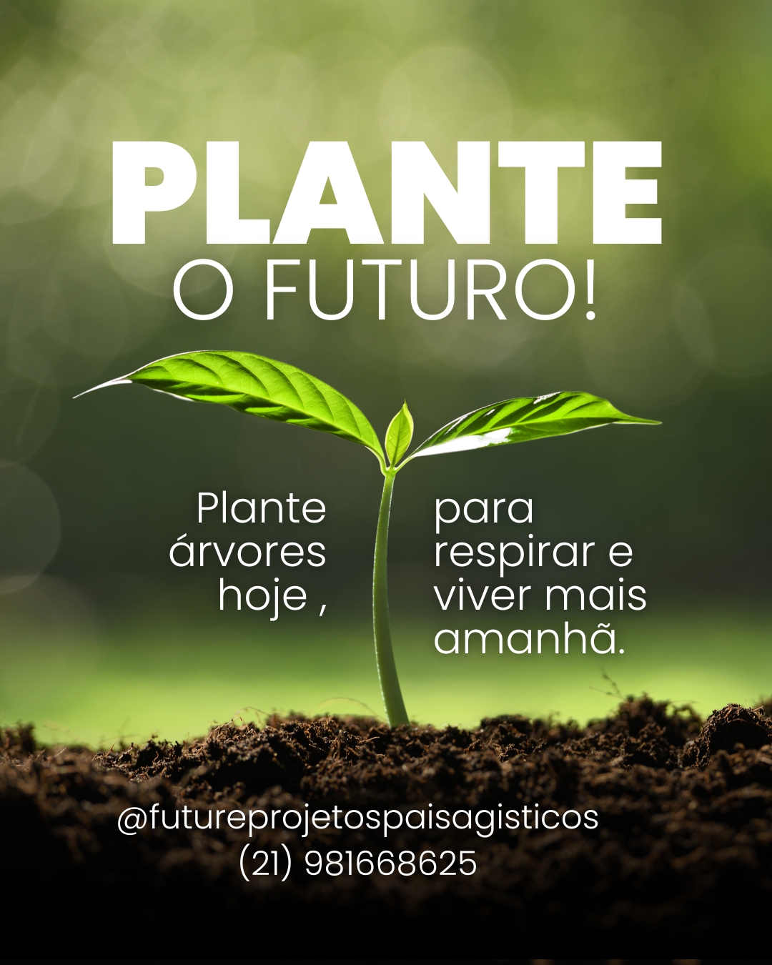 Futureprojetospaisagisticos