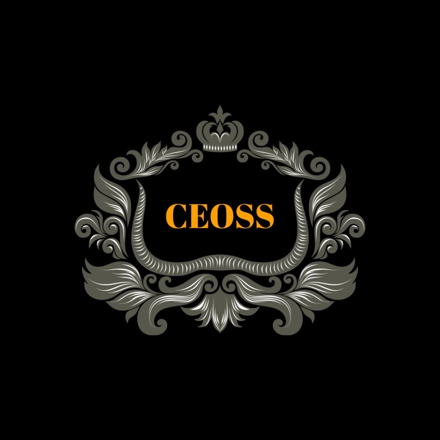 Logo de CEOSS