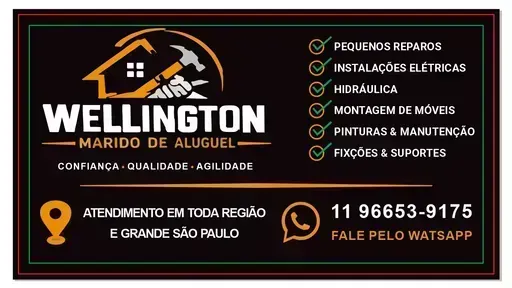 Wellington Pereira da cruz