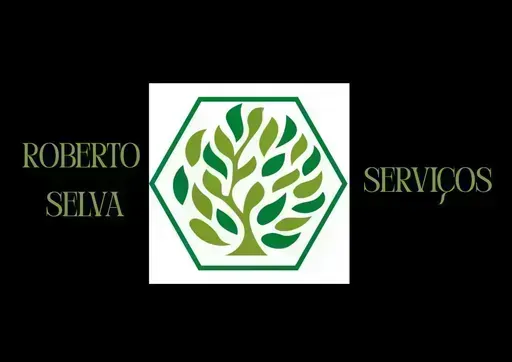 Roberto selva