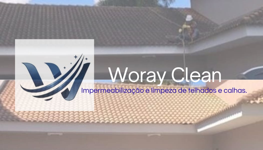 Logo de Woray Clean