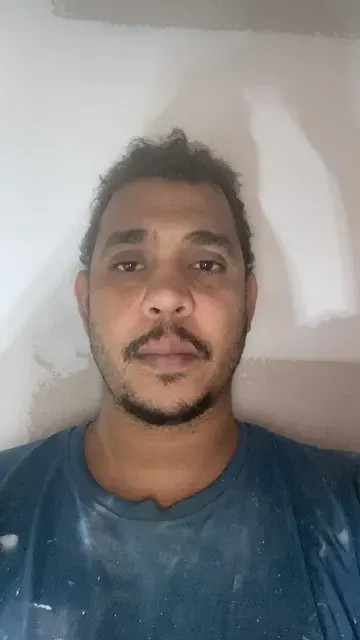 Ló