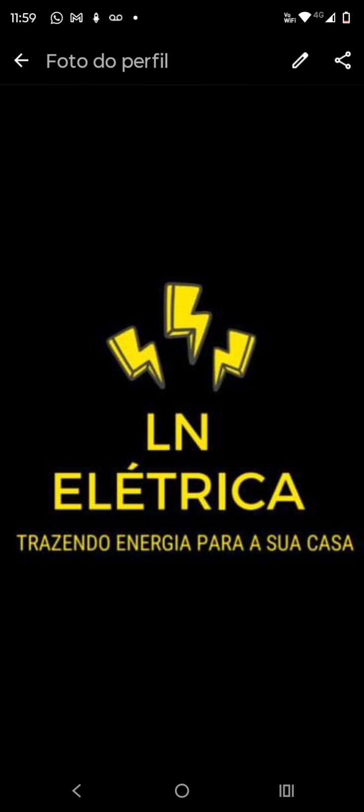Logo de L.N ELETICA