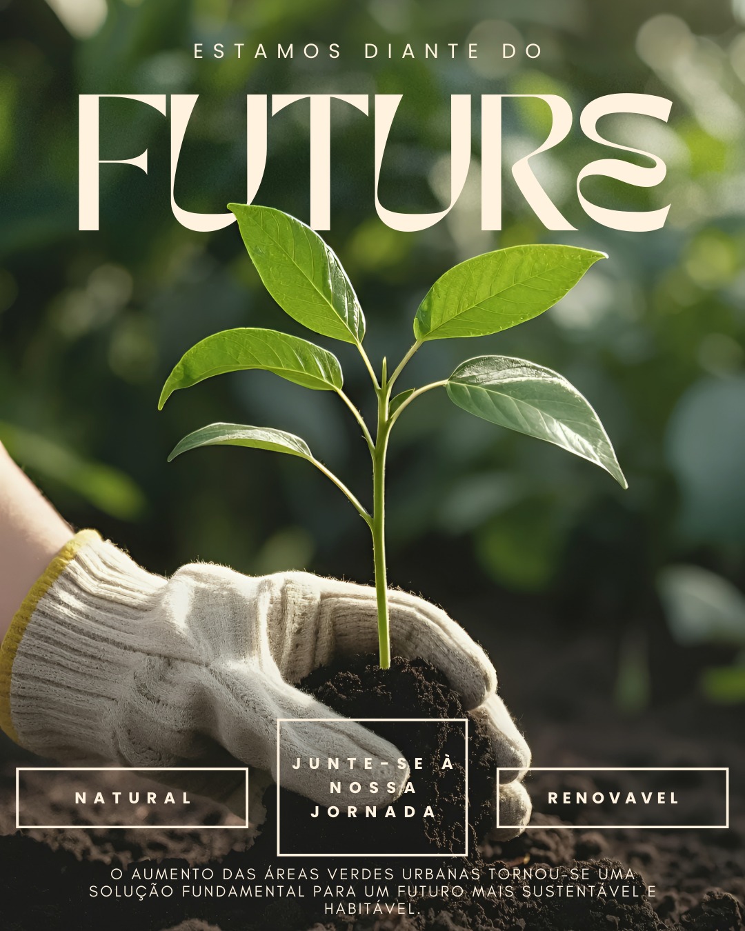 Logo de Futureprojetospaisagisticos