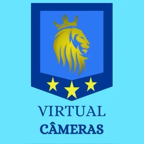 Virtual Cameras