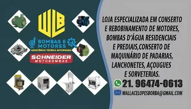Wallace Lopes Borba