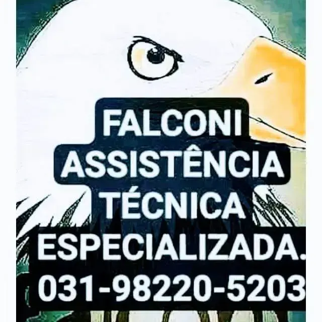 Foto de FALCONI ASSIST TEC ESP