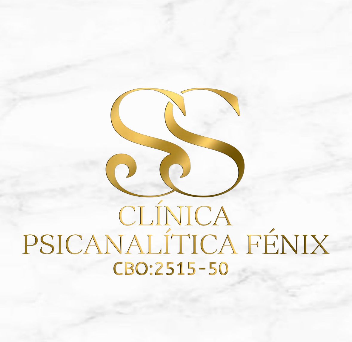 Logo de Dra. Saady Santiago