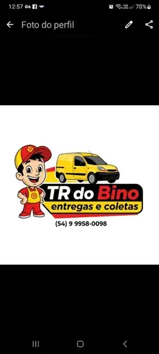 Bino transportes