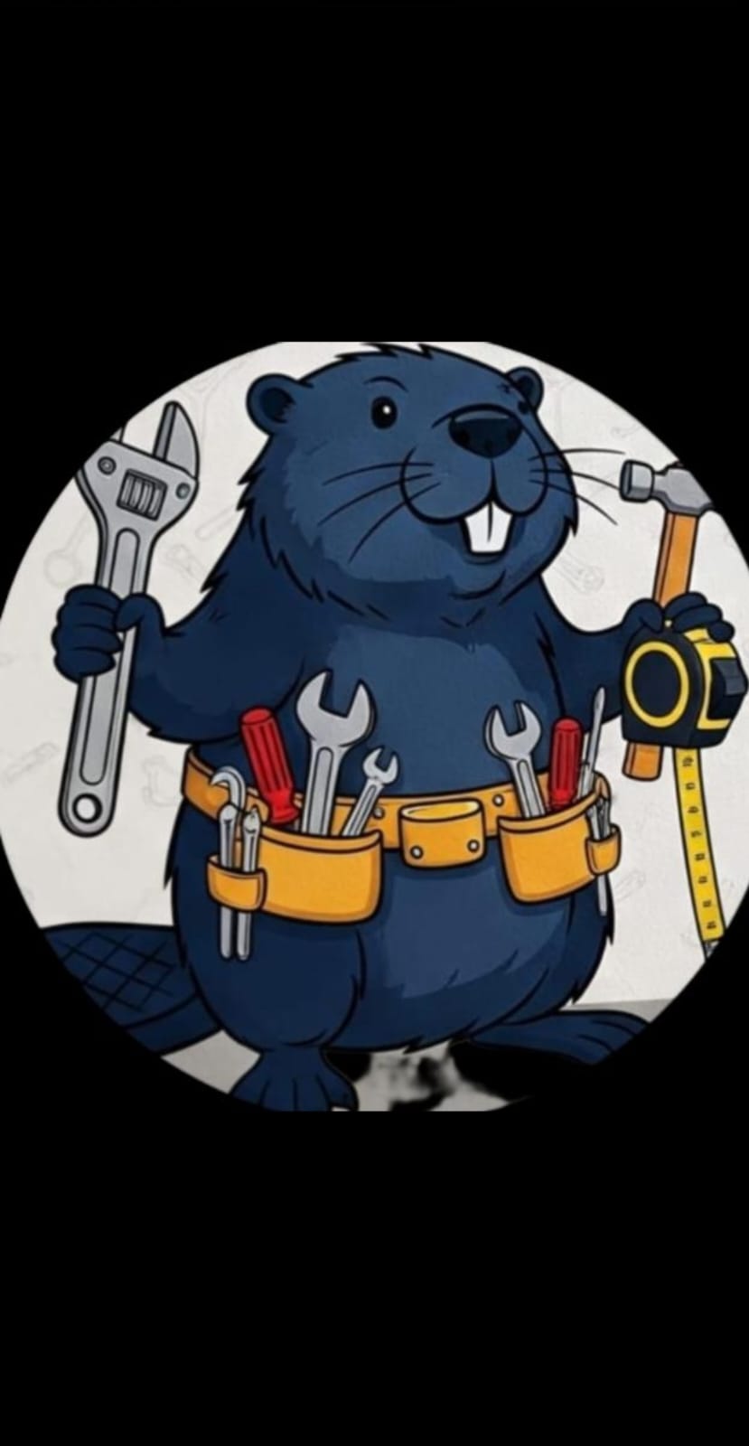 Logo de Doutor do lar